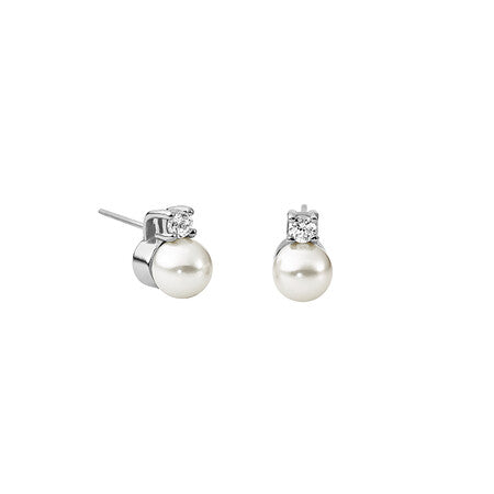 Aro perla zircon
